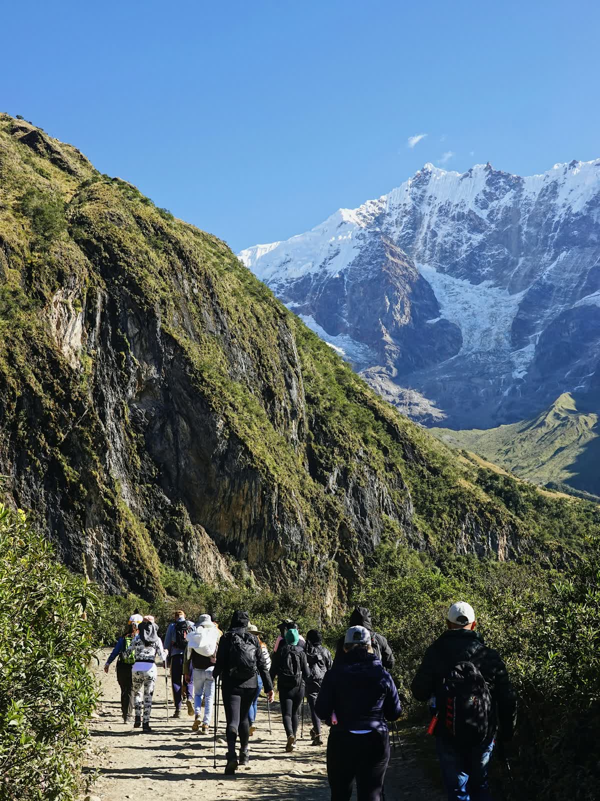 The Healthier team hiking